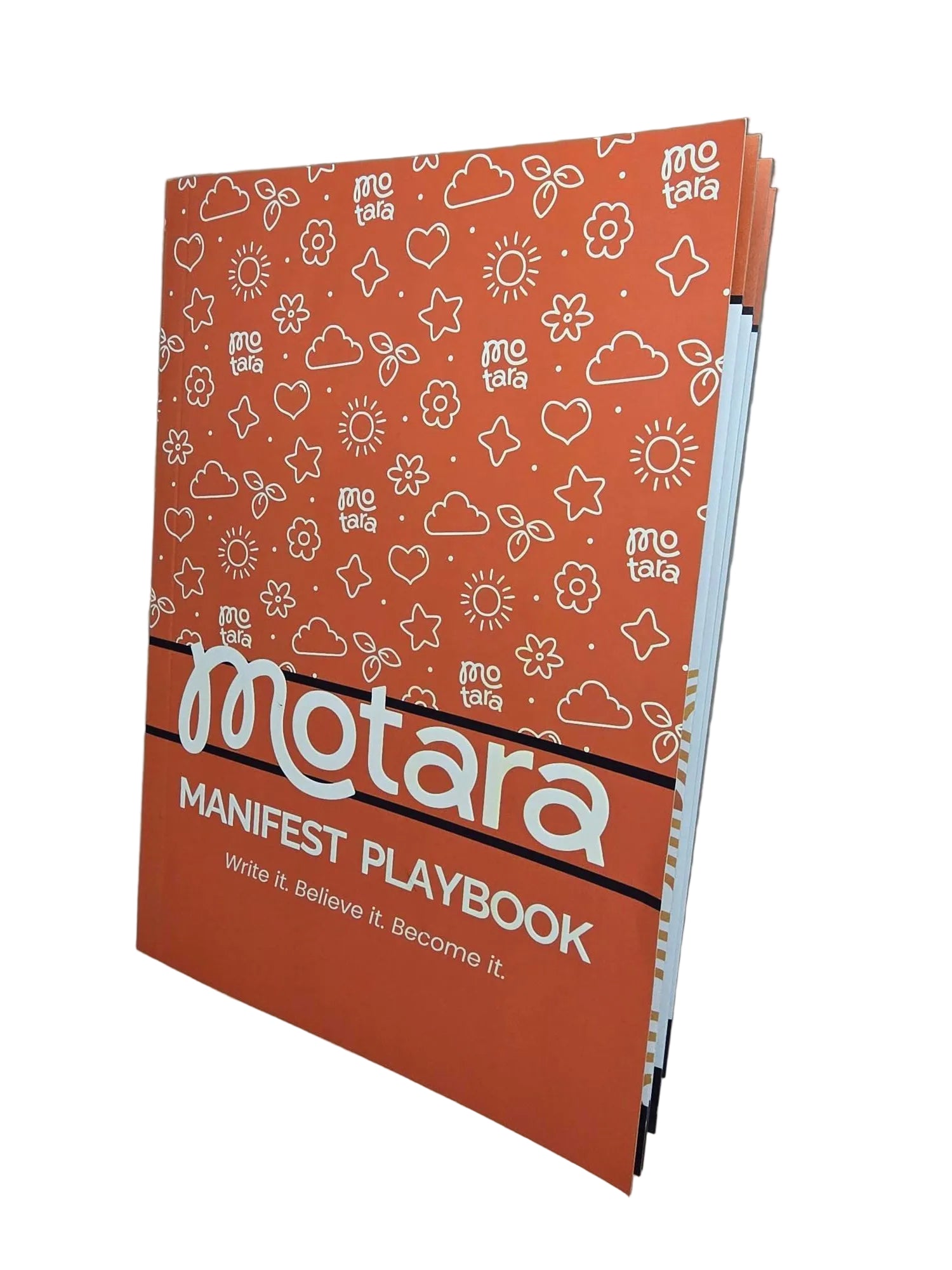 Manifest & Gratitude Books + Journal