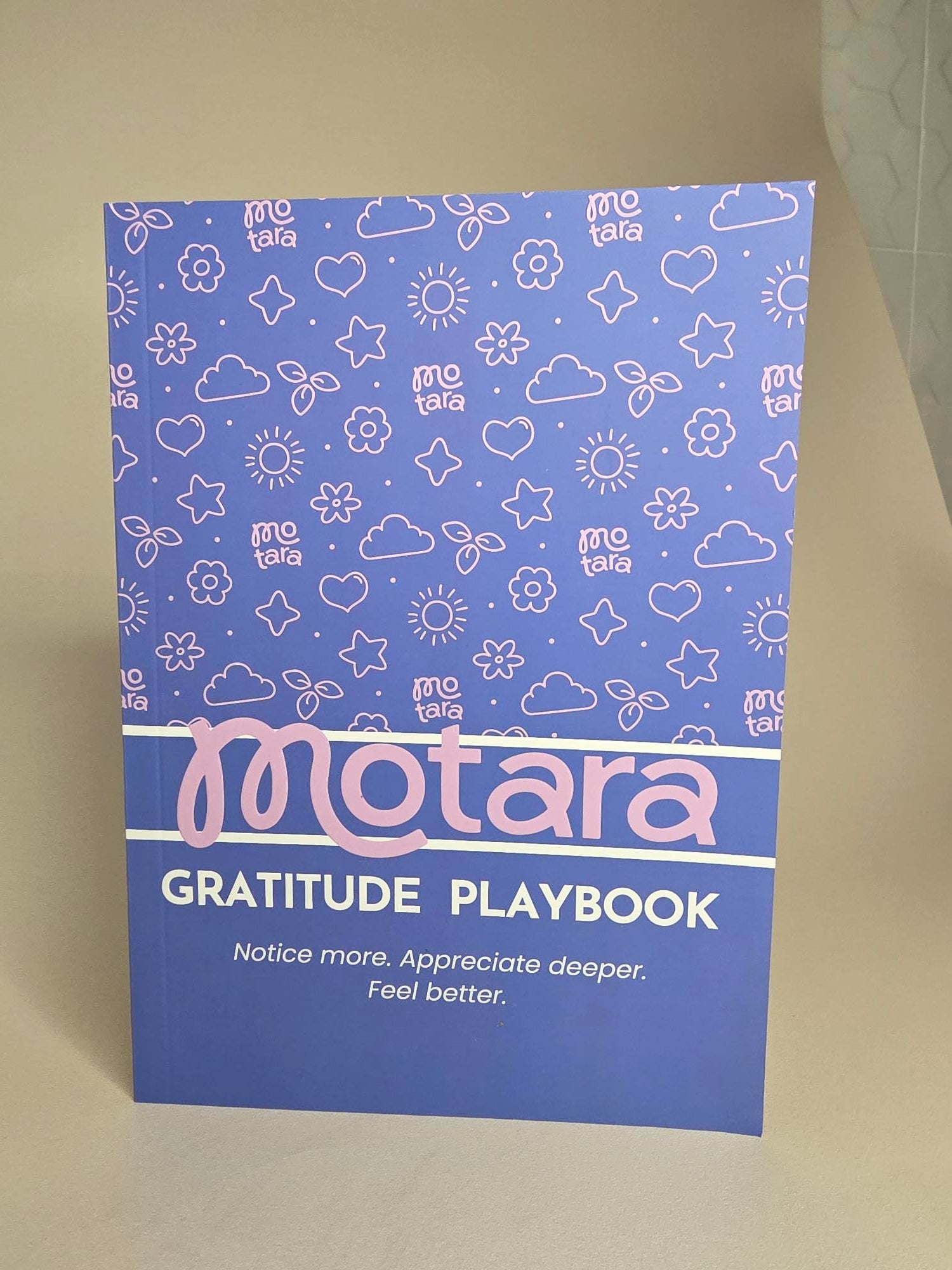 MindWork & Playbook Collection A5+