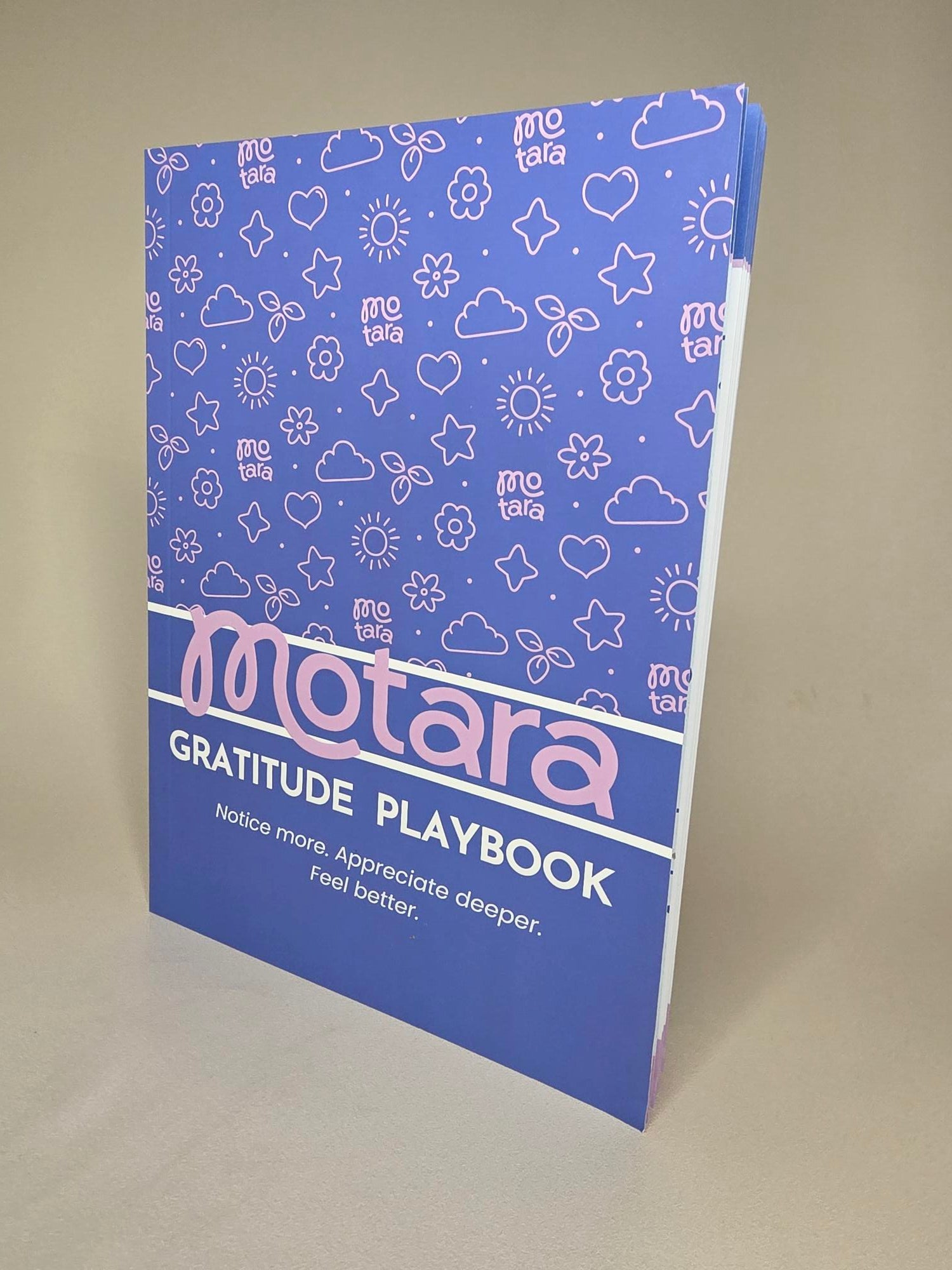 Gratitude & Manifest Playbook Journal A5 (s)
