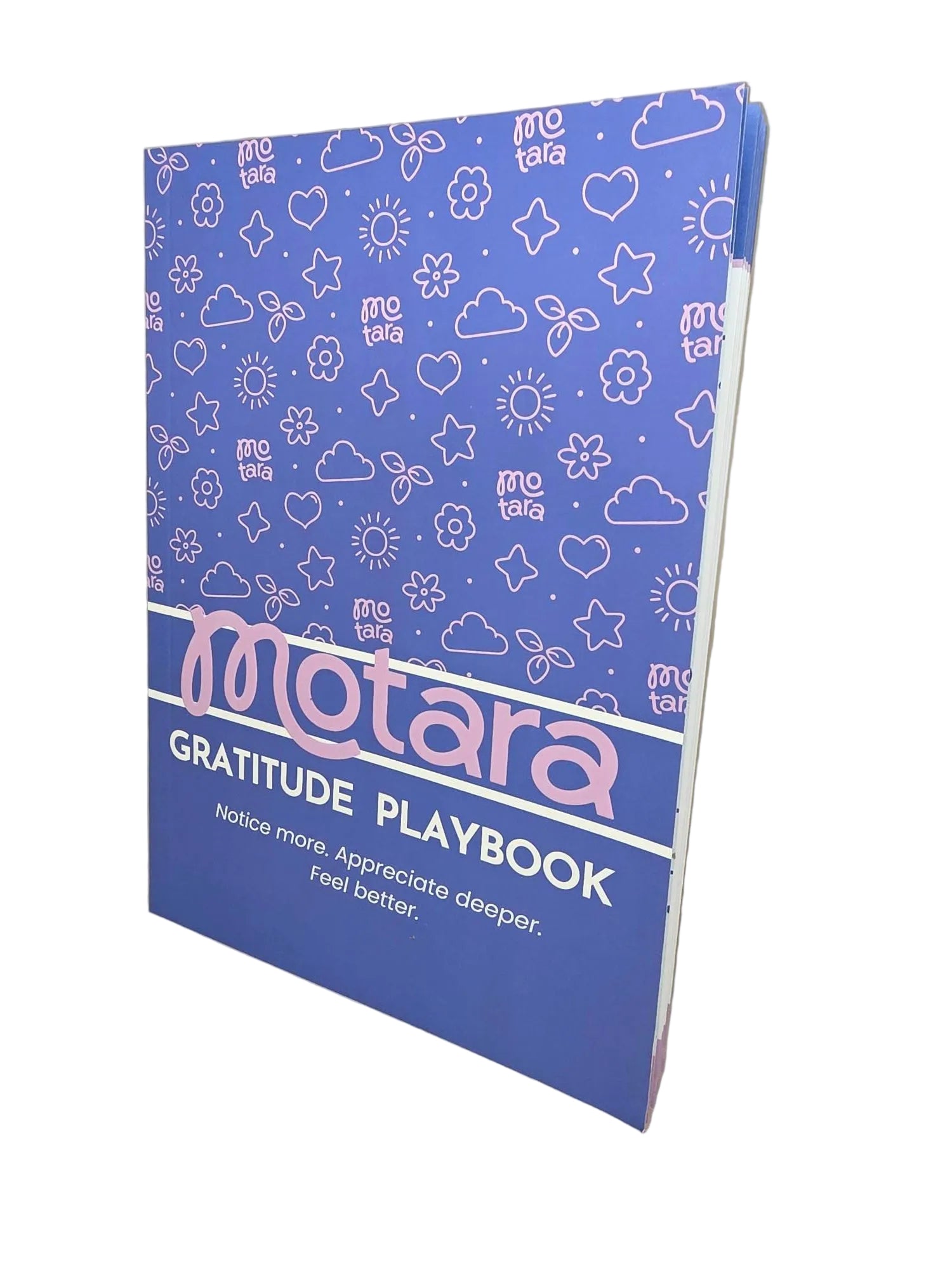 Manifest & Gratitude Books + Journal