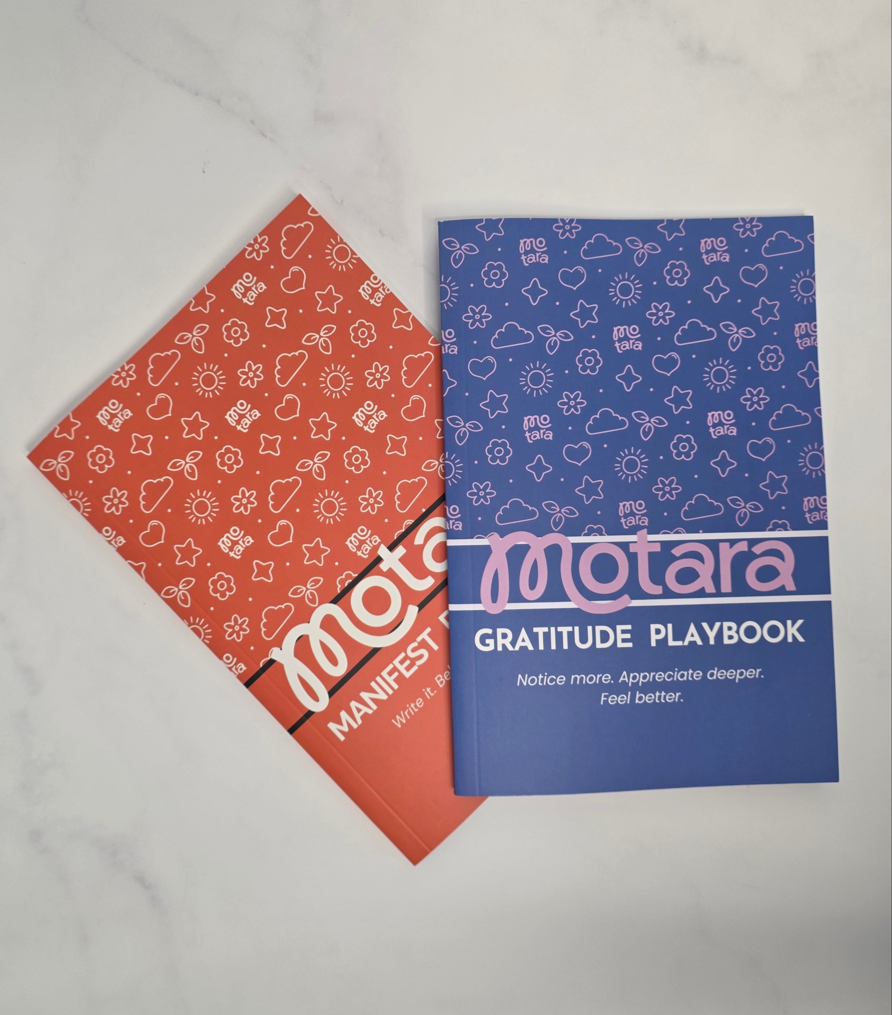 Gratitude & Manifest Playbook Journal A5 (s)