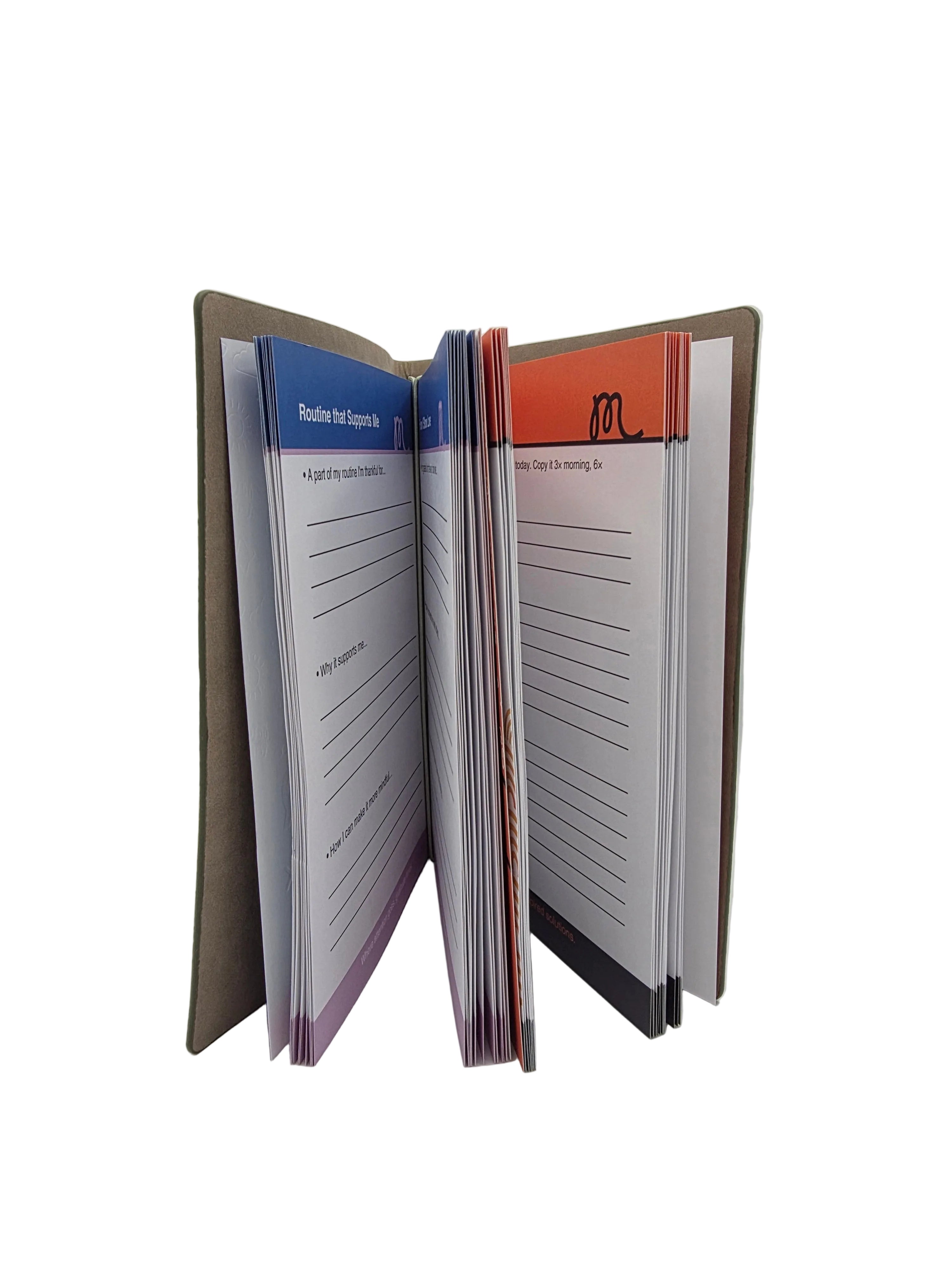 Manifest &amp; Gratitude Books + Journal